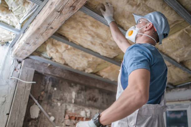 Best Insulation Inspection Services  in San Diego, CA