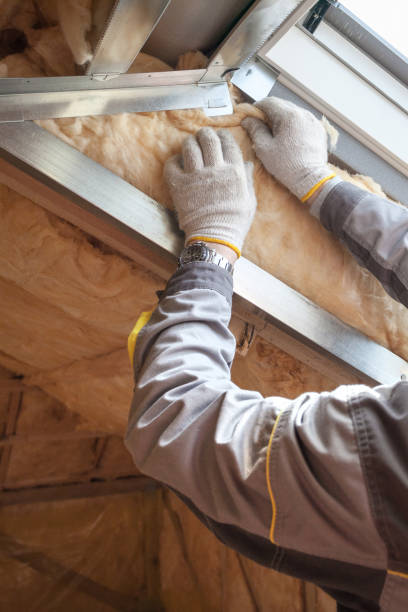 Best Energy-efficient Insulation  in San Diego, CA