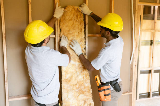 Best Residential Insulation Services  in San Diego, CA