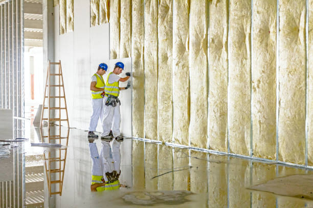 Best Blown-in Insulation  in San Diego, CA